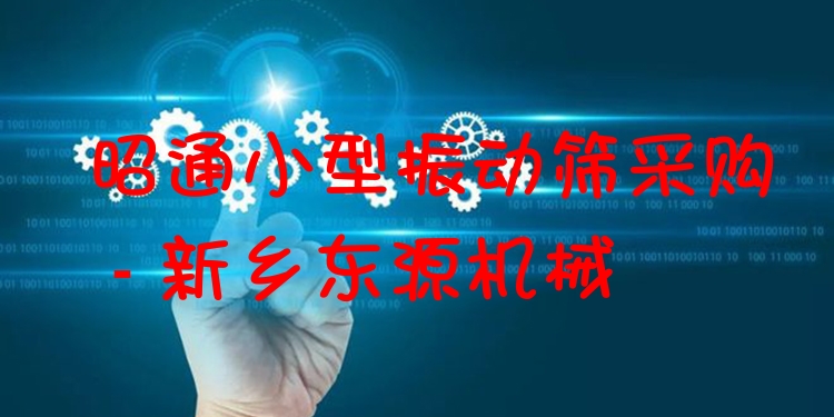 昭通小型振動篩采購 - 新鄉(xiāng)東源機(jī)械